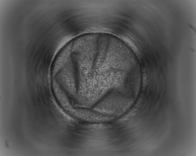 X0000092210990200710121125