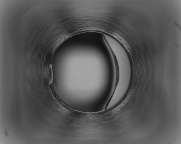 X0000092210993200710121125