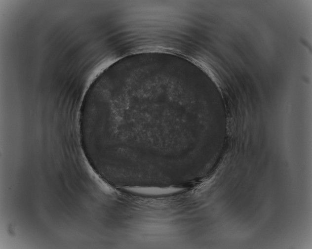 X0000092210995200710121125