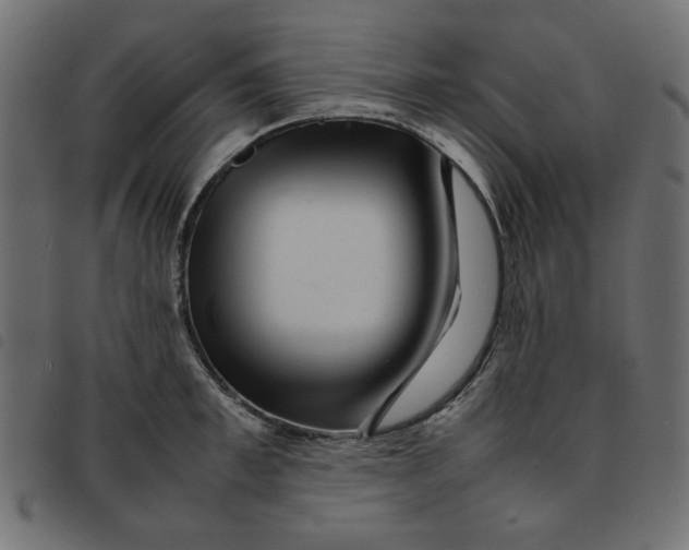 X0000092210997200710121125