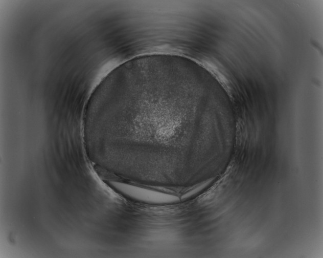 X0000092210998200710121125