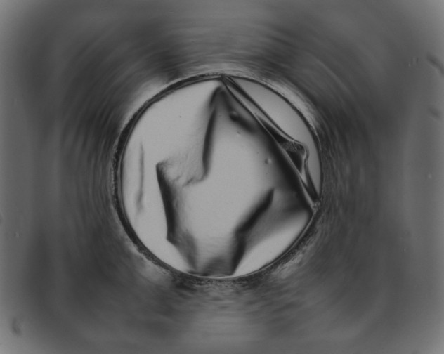 X0000092210999200710121125