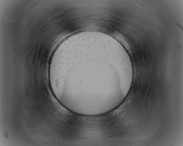 X0000092211000200710121125