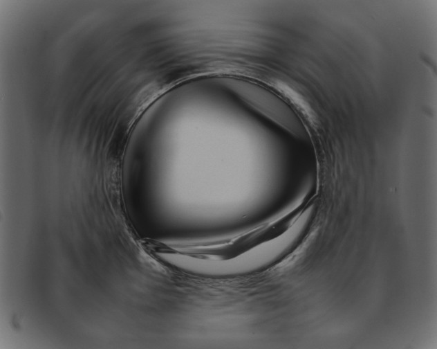 X0000092211001200710121125