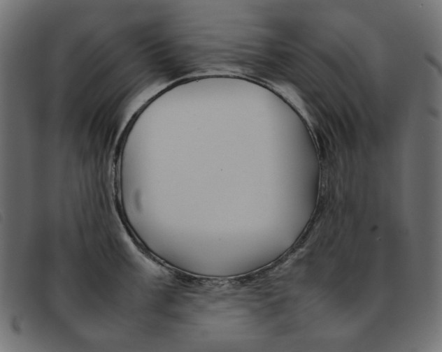 X0000092211003200710121125