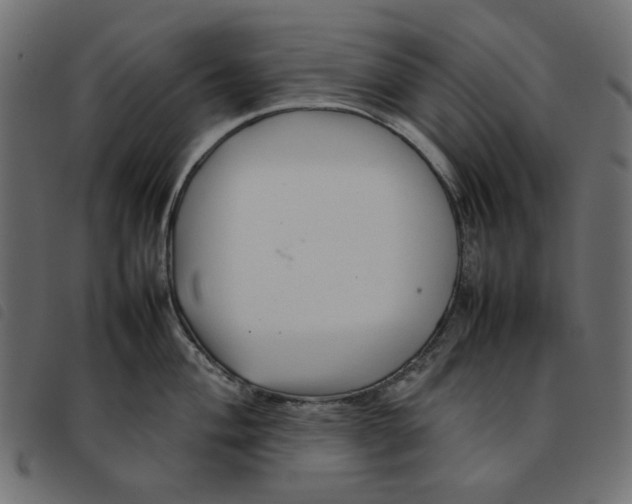 X0000092211004200710121125
