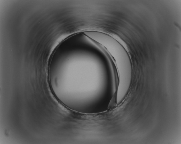 X0000092211005200710121125