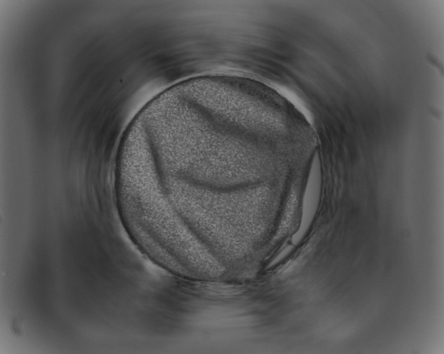 X0000092211007200710121125