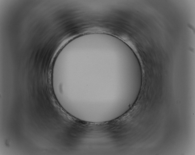 X0000092211008200710121125