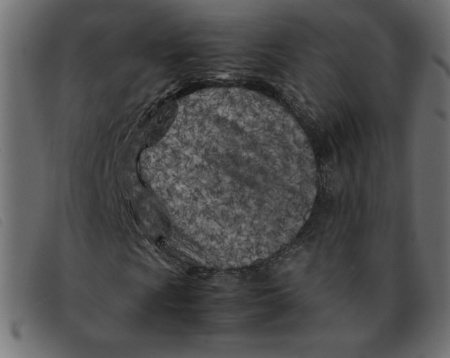 X0000092211009200710121124