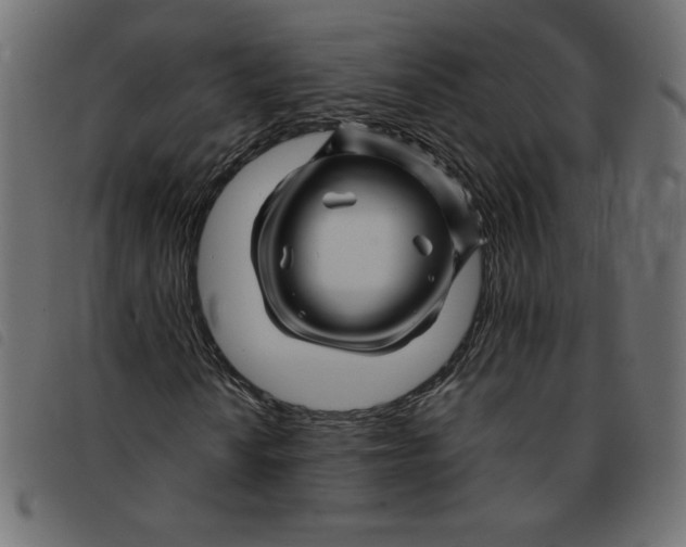 X0000092211010200710121124
