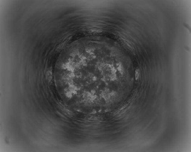 X0000092211011200710121124