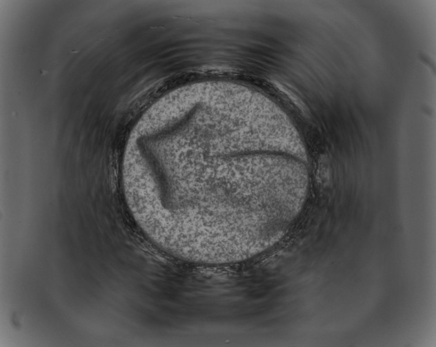 X0000092211015200710121124