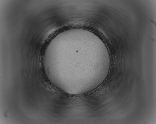 X0000092211016200710121124