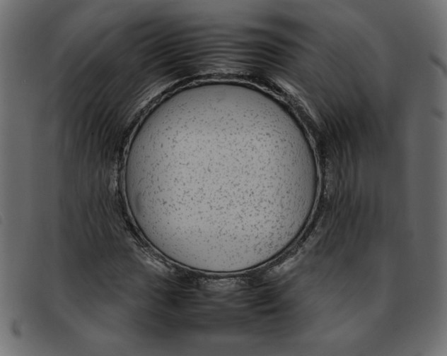 X0000092211017200710121124