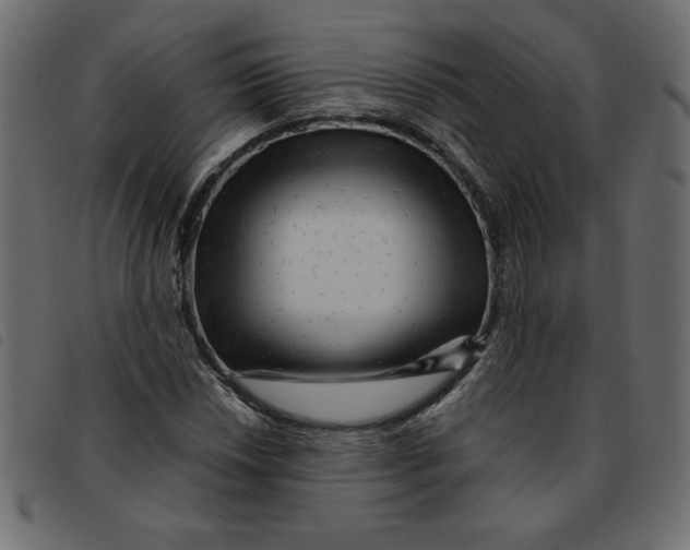X0000092211018200710121124