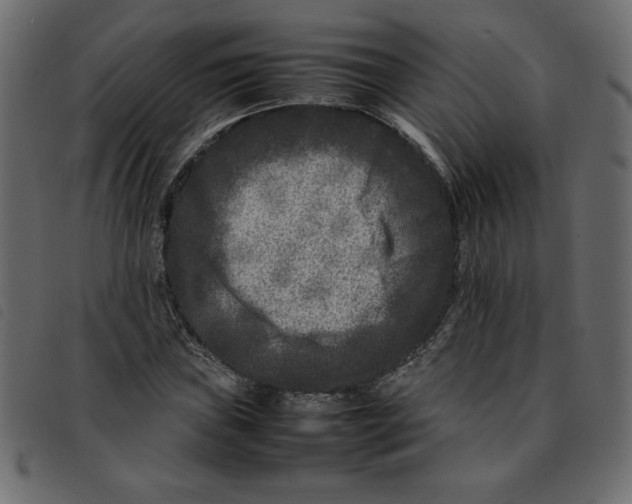 X0000092211019200710121124