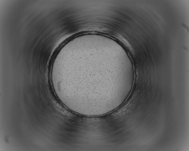 X0000092211020200710121124