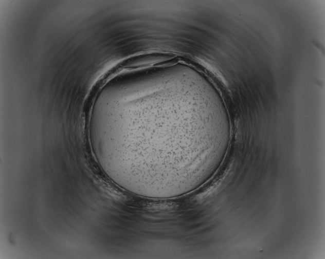 X0000092211021200710121124