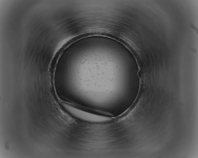 X0000092211022200710121124