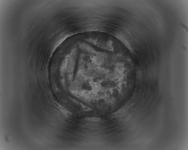 X0000092211023200710121124