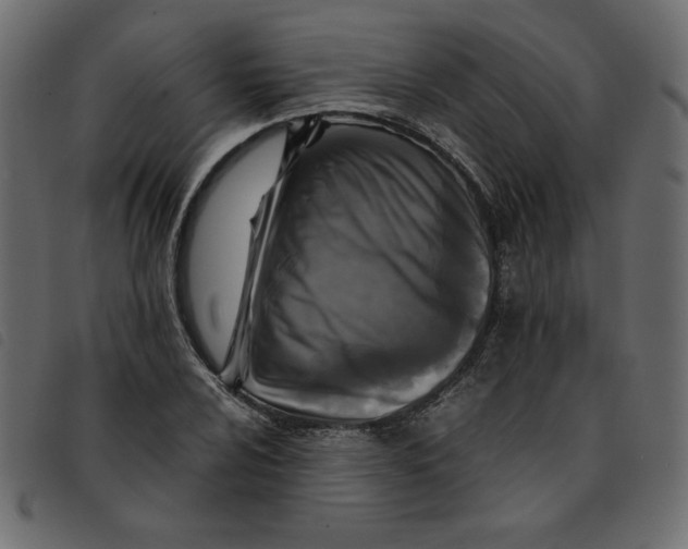 X0000092211024200710121124