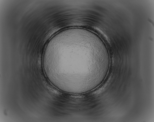 X0000092211025200710121124