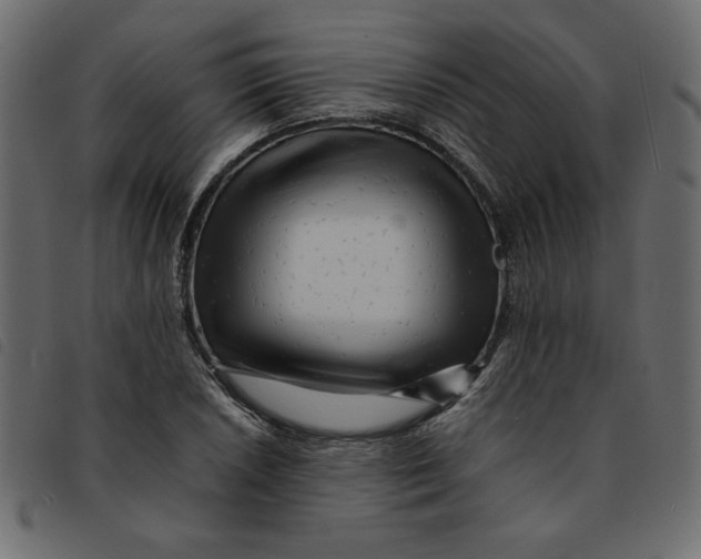 X0000092211026200710121124