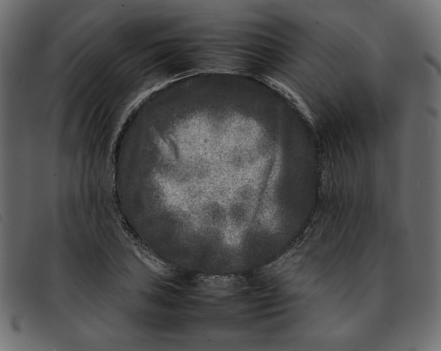 X0000092211027200710121124