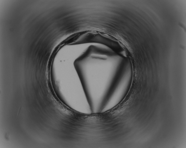 X0000092211028200710121124