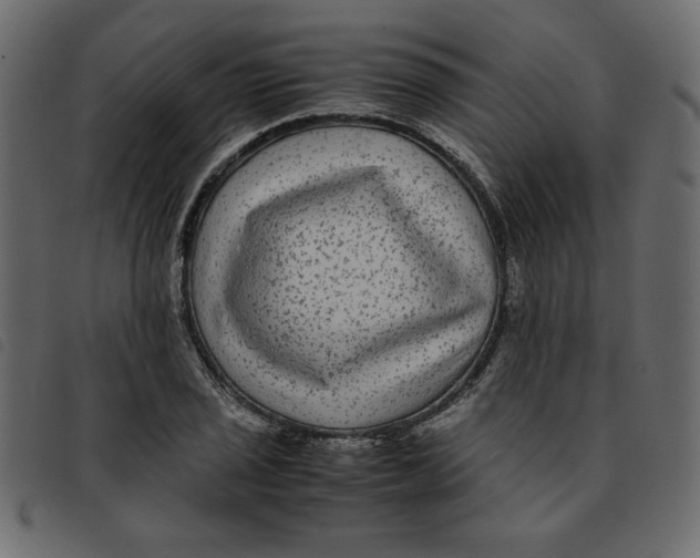 X0000092211029200710121124