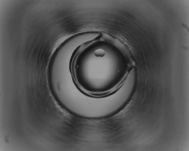 X0000092211030200710121124