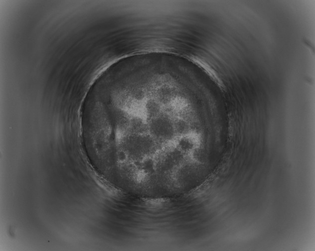 X0000092211031200710121124