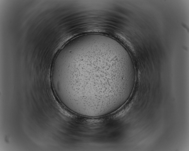 X0000092211033200710121124