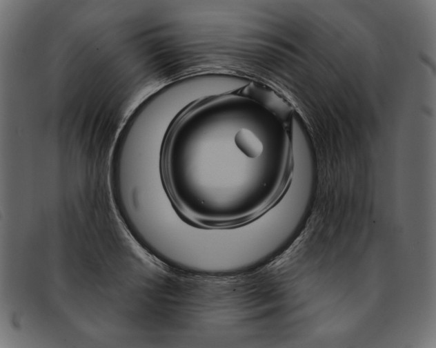 X0000092211034200710121124