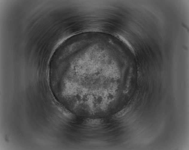 X0000092211035200710121125