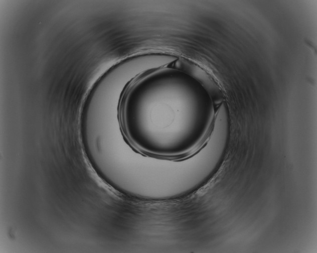 X0000092211038200710121125