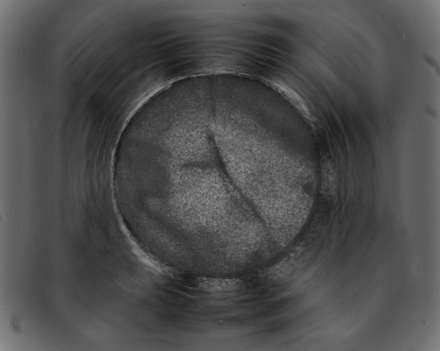 X0000092211039200710121125