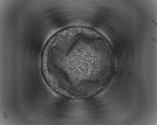 X0000092211040200710121125