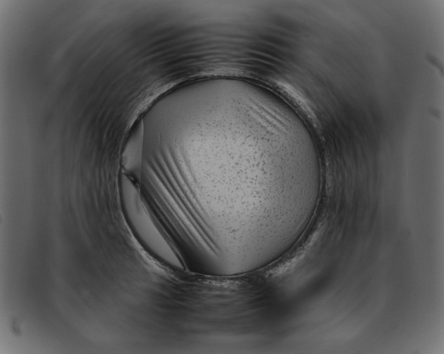 X0000092211041200710121125