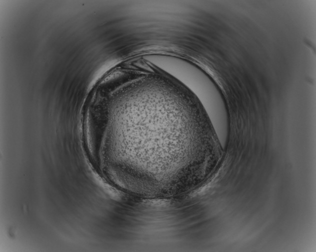 X0000092211042200710121125