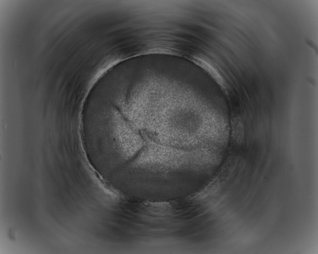 X0000092211043200710121125