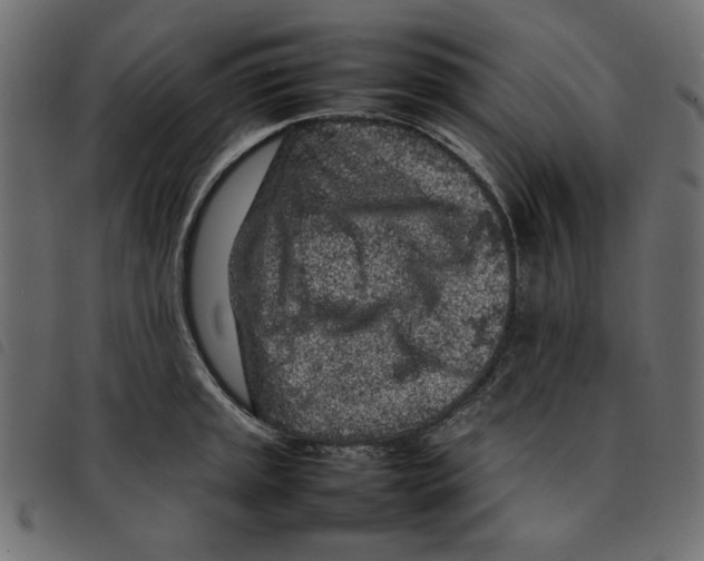 X0000092211045200710121125