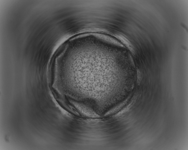 X0000092211046200710121125