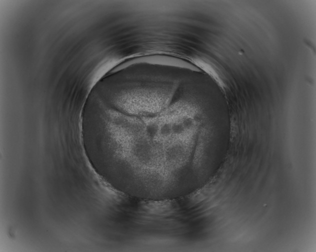 X0000092211047200710121125