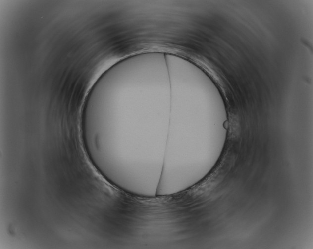 X0000092211048200710121125