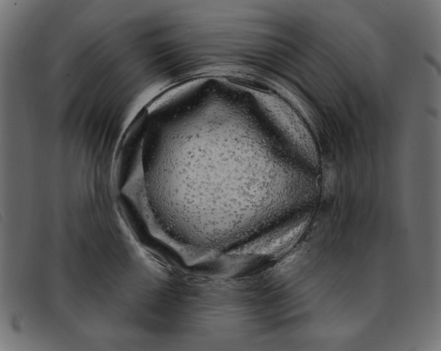 X0000092211050200710121125