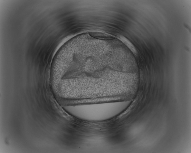 X0000092211052200710121125