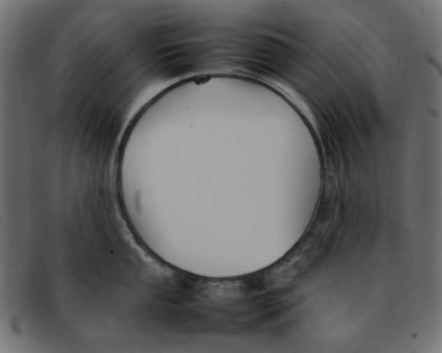 X0000092211053200710121125