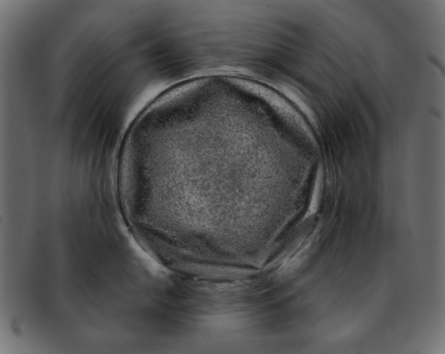 X0000092211054200710121125